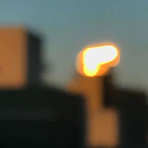 天天日天天操天天干
