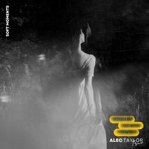 天天日天天操天天干
